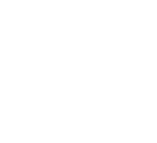 White Scout logo